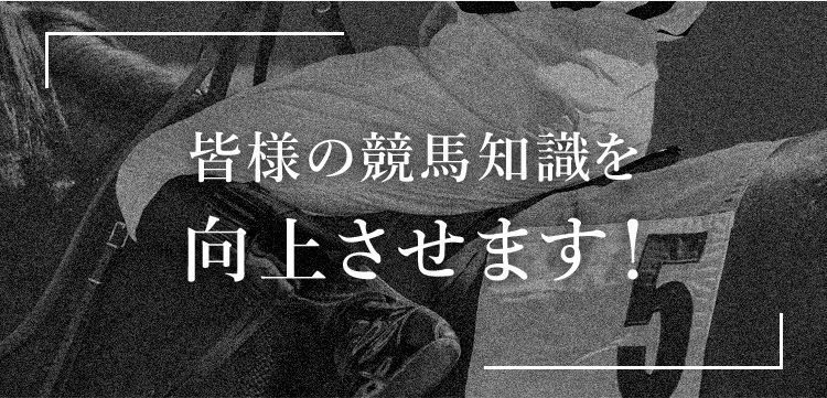 皆様の競馬知識を向上させます！