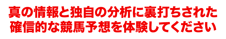 経験と独自の分析に裏打ちされた 確信的な競馬予想を体験してください
