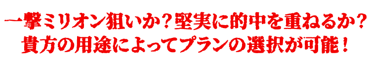 一撃ミリオン狙いか?堅実に的中を重ねるか?貴方の用途によってプランの選択が可能!