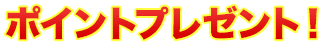 ポイントプレゼント